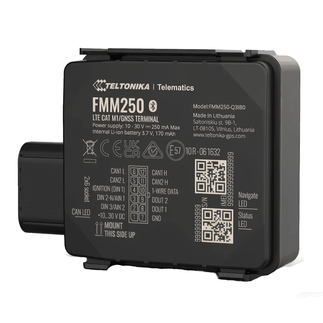Teltonika FMM250